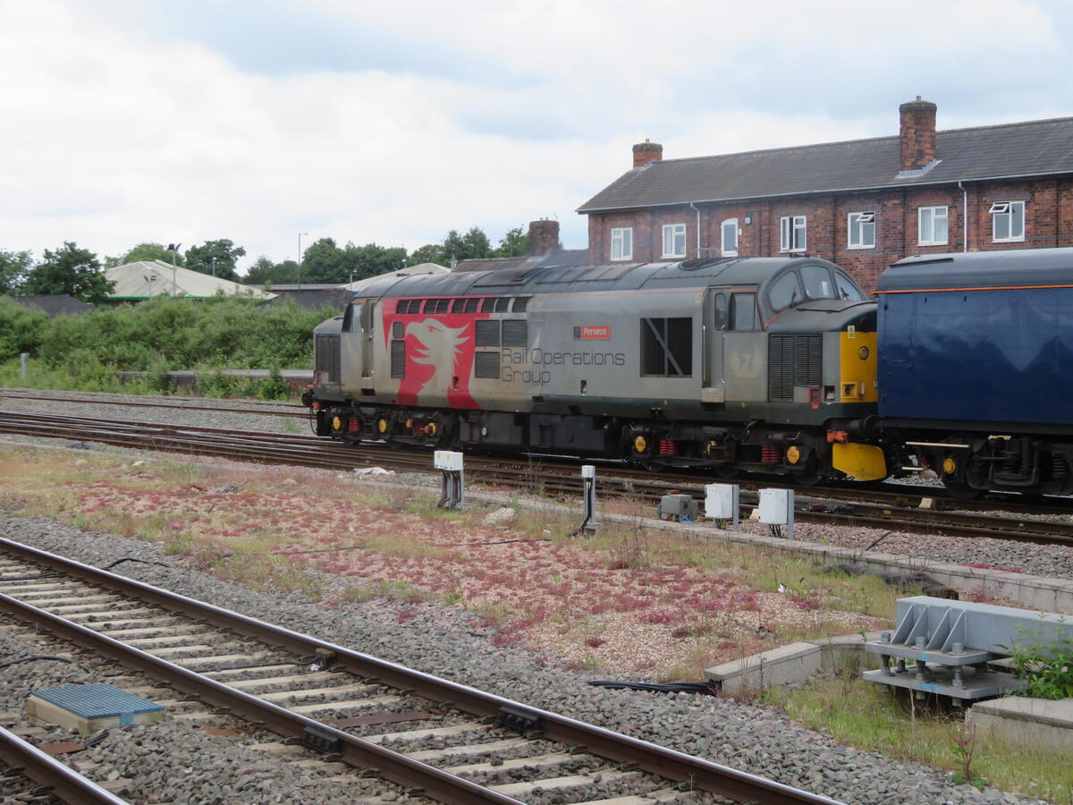 Rail Operations Group - Kestrel in action